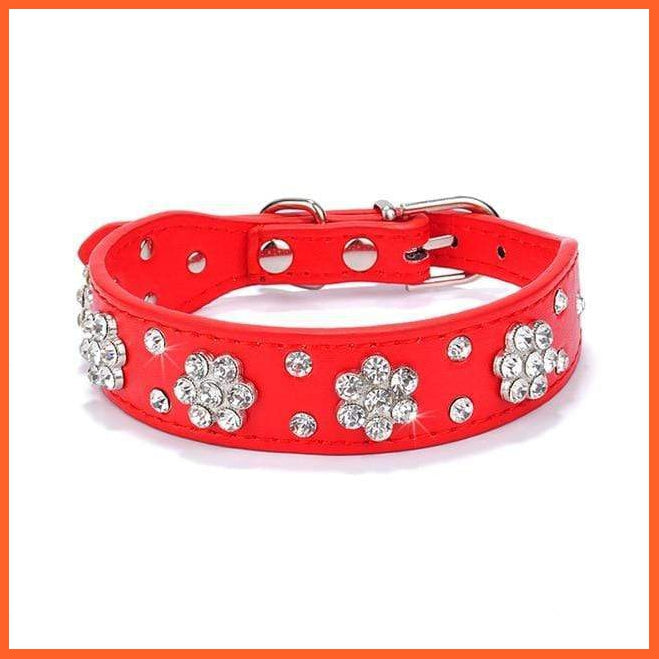 Shiny Collars For Small Dogs And Cats | whatagift.com.au.