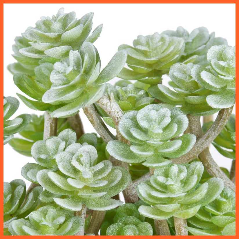 Artificial Succulent Plant | whatagift.com.au.