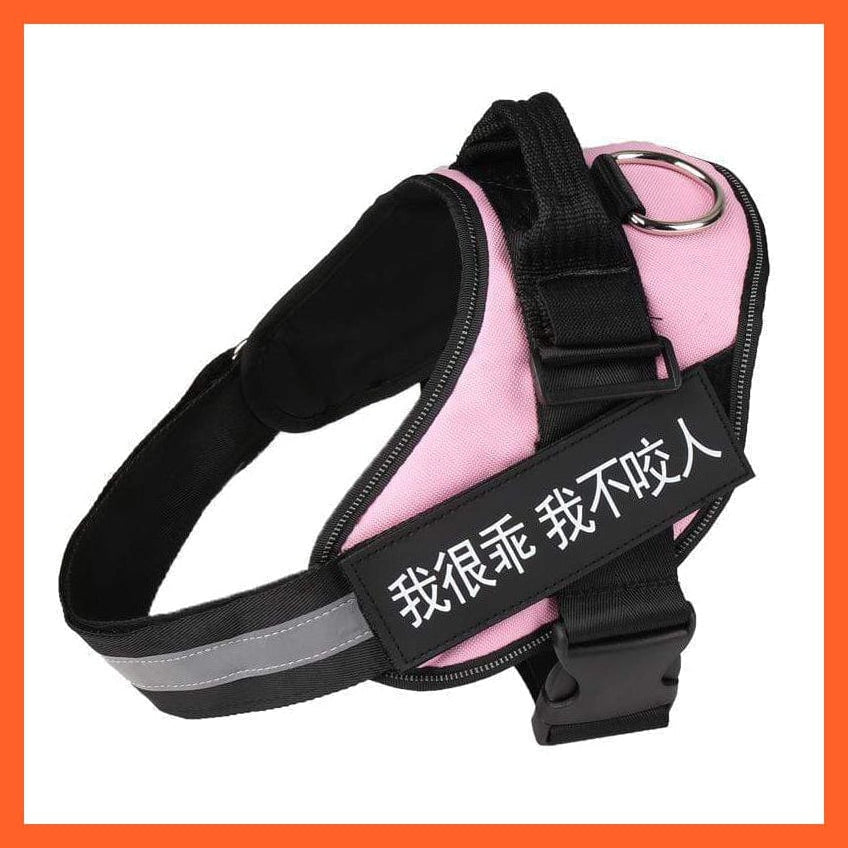 whatagift.com.au dog harness XXS / Pink Personalised Custom Dog Harness | Dog Collar Name Safe Dog Harness