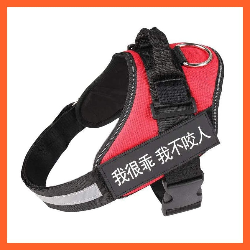 whatagift.com.au dog harness XXS / Red Personalised Custom Dog Harness | Dog Collar Name Safe Dog Harness