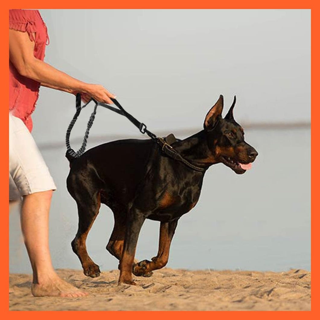whatagift.com.au dog lead Army Tactical Dog Leash | Nylon Bungee Leashes Pet Military Lead