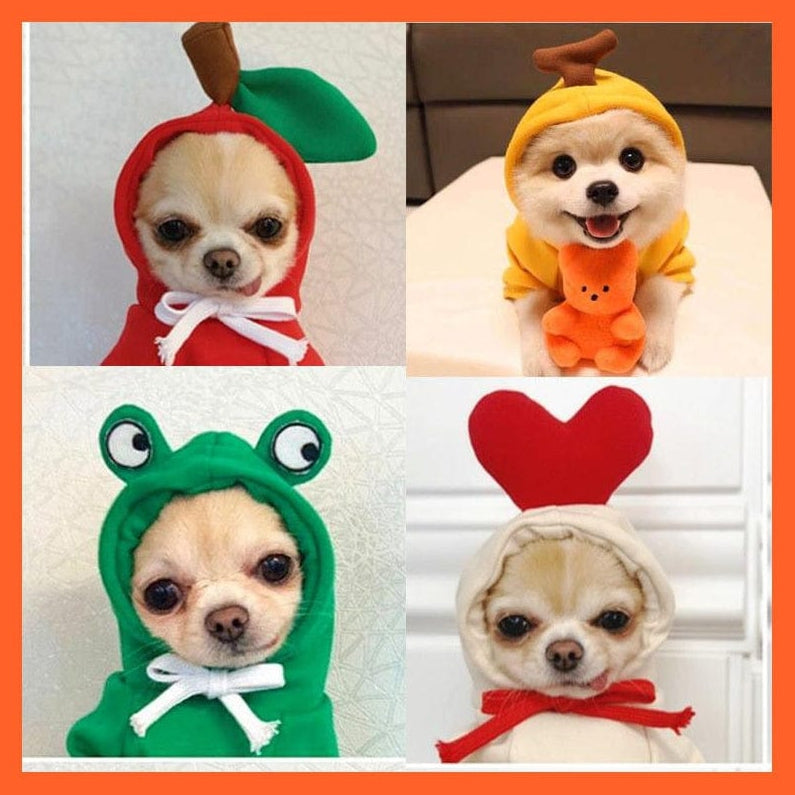 whatagift.com.au Pet Clothes Fun Fruity Clothes For Dogs And Cats | Cute Pet Animals
