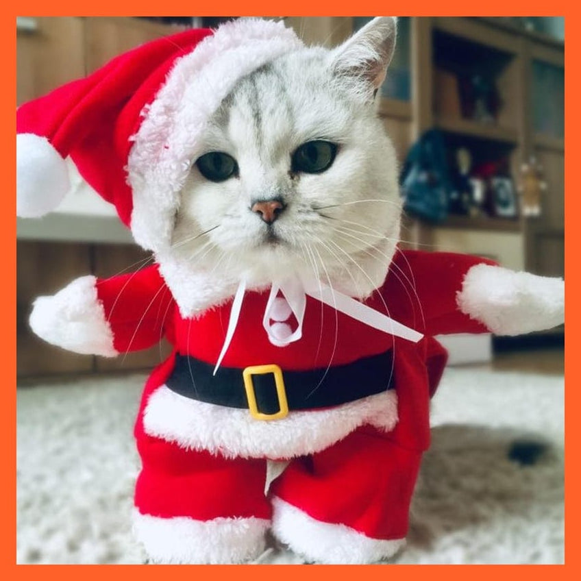 whatagift.com.au Red / XS / CHINA Christmas Pet Cat Costumes | Christmas Clothes For Dogs And Cats